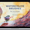 Adilson Farias – Digital Watercolor Brushes AF for Procreate