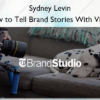 How to Tell Brand Stories With Video