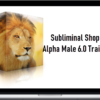 Subliminal Shop – Alpha Male 6.0 Training