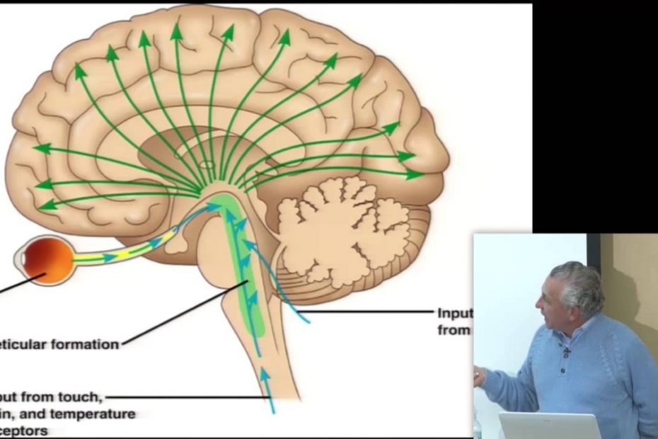 John Hagelin – Hacking Consciousness Cognition & the Brain