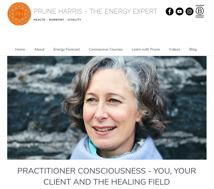 Prune Harris – Practitioner Consciousness – You, Your Client and the Healing Field