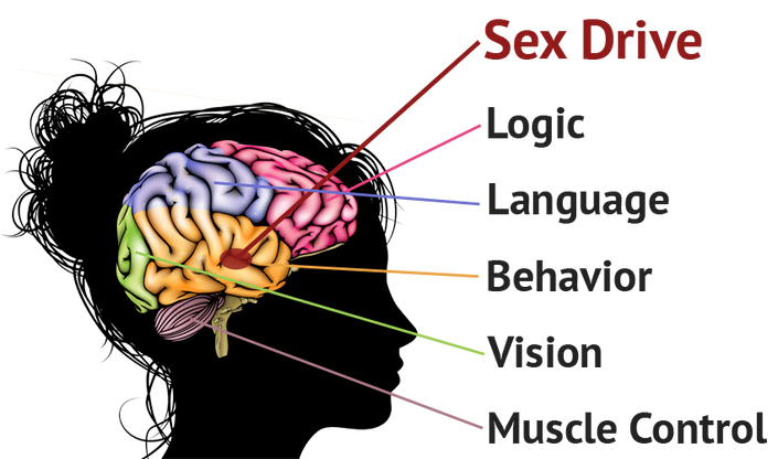 Matt Artisan – Desire and Escalation Mastery