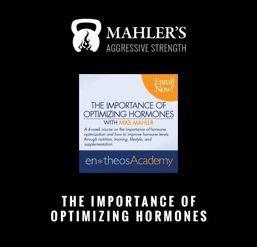 Mike Mahler – The Importance of Optimizing Hormones