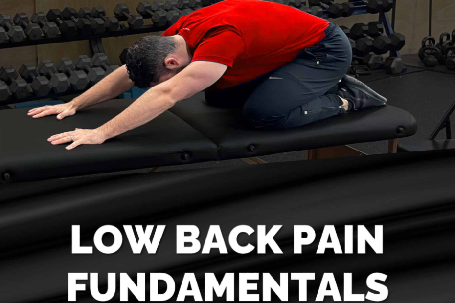 Michael Mash – Low Back Pain Fundamentals