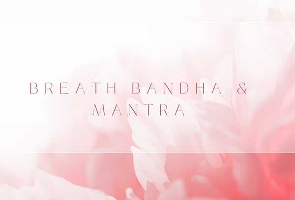 Kristin Leal – MetaAnatomy Breath, Bandha and Mantra