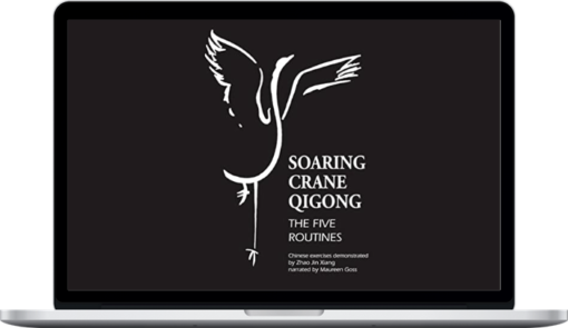 Soaring Crane Qigong – master Zhao Jinxiang