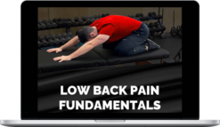 Michael Mash – Low Back Pain Fundamentals