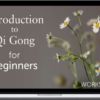 Lee Holden – Introduction To Qi Gong For Beginners Workshop