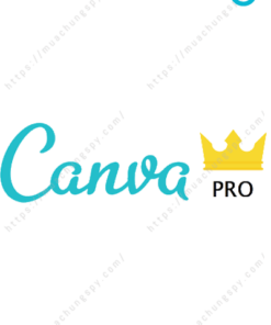 Canva Pro