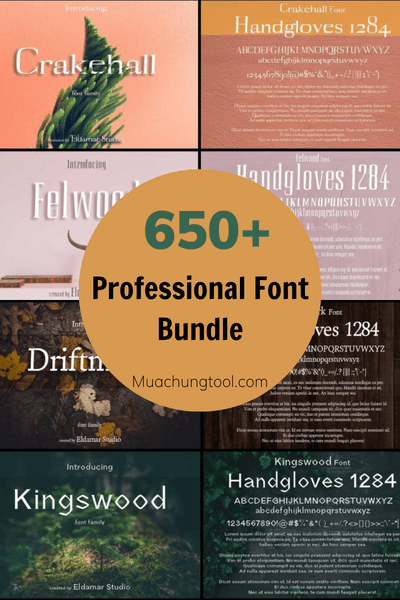 650+ Professional Font Bundle