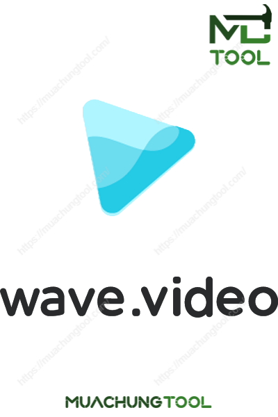 Wave Video