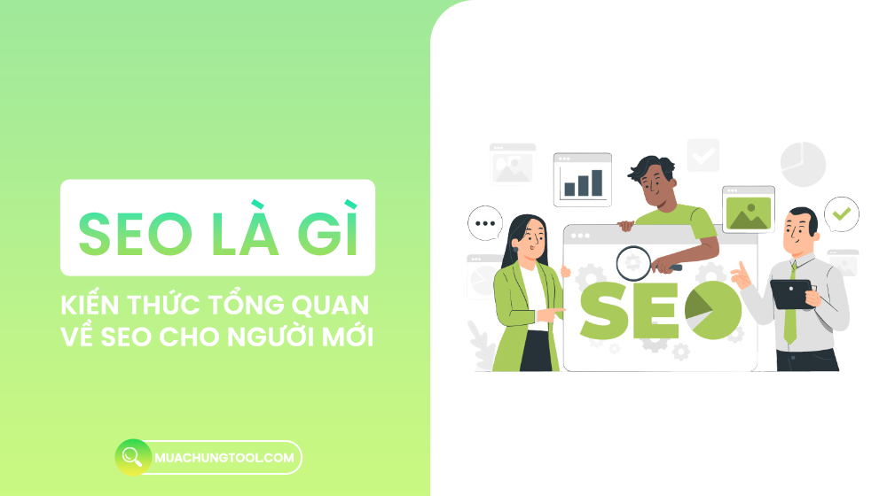 SEO Là Gì? Kiến Thức Tổng Quan Về SEO Cho Người Mới