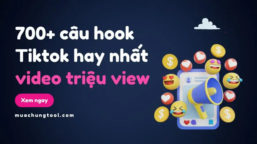 700+ Câu Hook TikTok Hay Nhất Để Tạo Video Triệu View