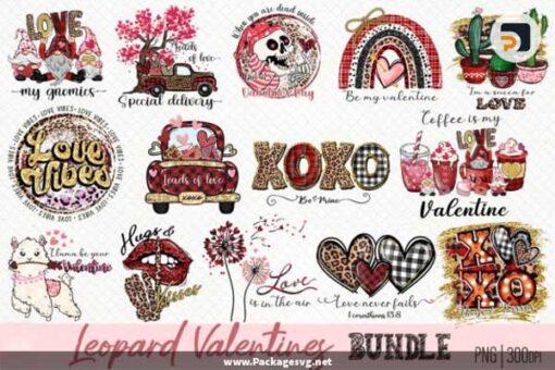 Leopard Valentines Bundle