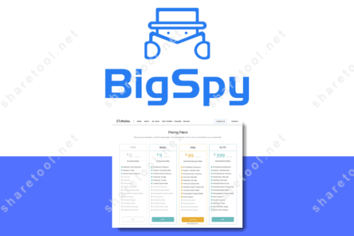 BigSpy