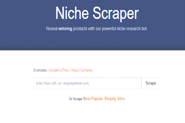 Niche Scraper