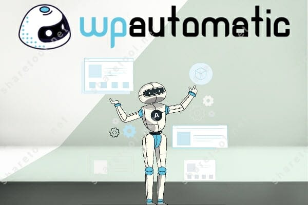 WP Automatic