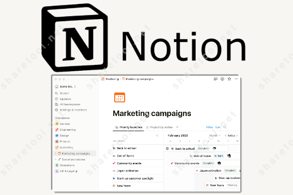 Notion Pro