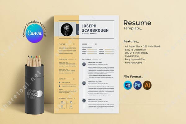 Professional Unique Canva & Word Resume Template