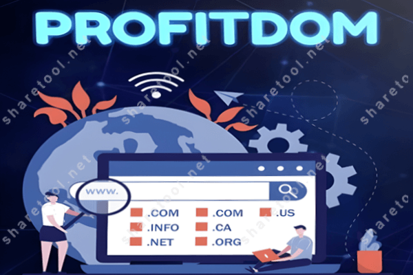 Profitdom