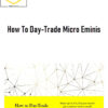 Dr. Stoxx – How To Day-Trade Micro Eminis