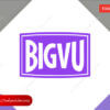 BIGVU group buy