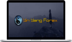 Trading Mastermind – Yin Yang Forex Training Program