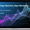 Ticker Monkey – Earnings Reaction Gaps Workshop